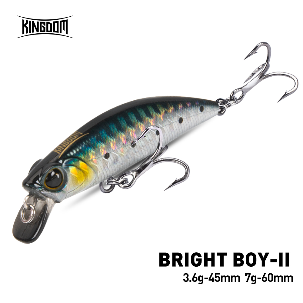Fishing Lure Making Kit - Krallık Batan Minnow Balıkçılık Cazibesi 45mm